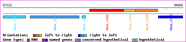 gene map
