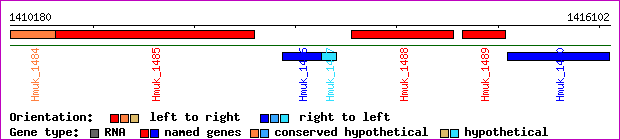 gene map