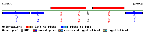 gene map