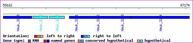 gene map