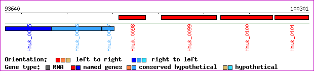 gene map