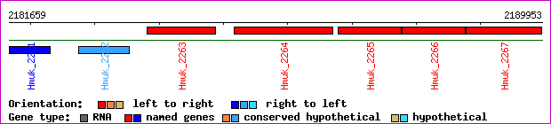 gene map