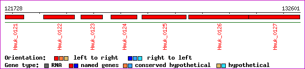gene map