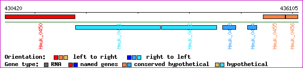 gene map