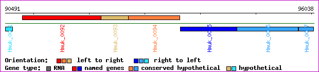 gene map