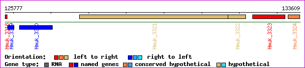 gene map