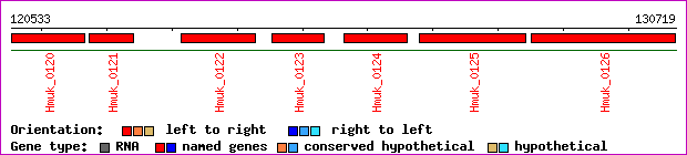 gene map