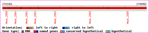 gene map