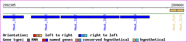 gene map