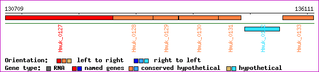 gene map