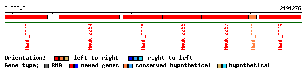 gene map