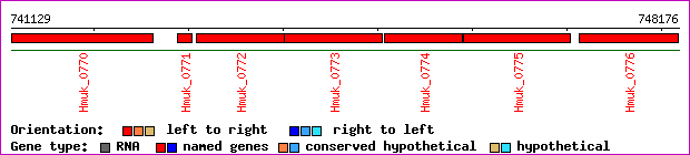 gene map