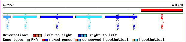 gene map