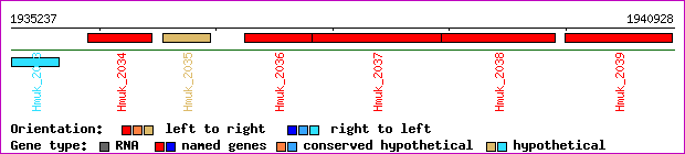 gene map