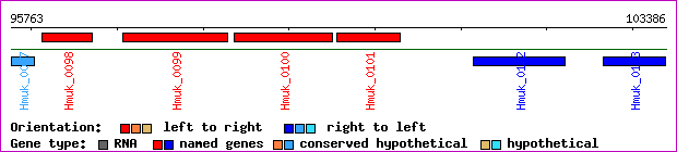 gene map