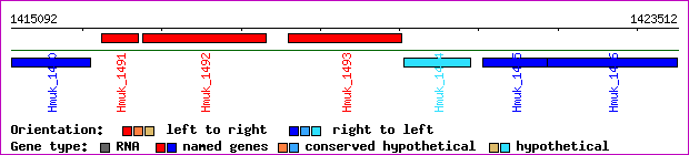 gene map