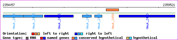 gene map
