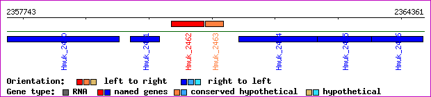 gene map