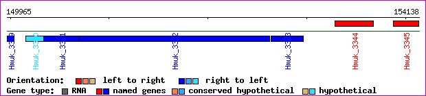 gene map