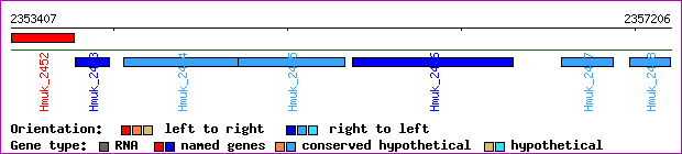 gene map