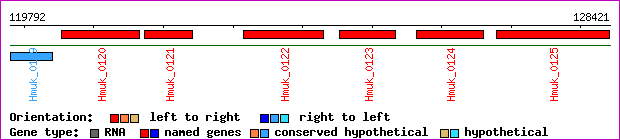 gene map