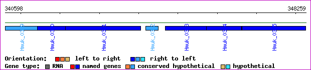 gene map