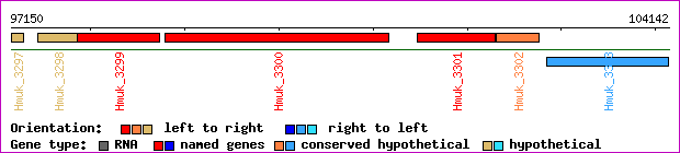 gene map