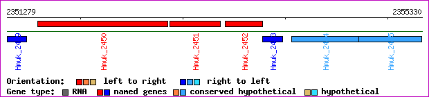 gene map