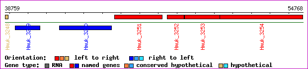 gene map