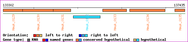 gene map