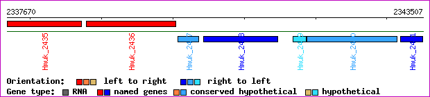 gene map