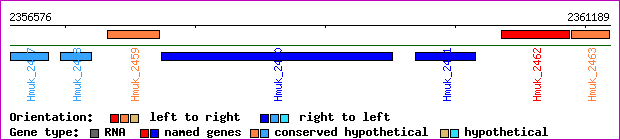 gene map