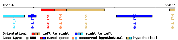 gene map