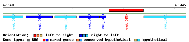 gene map
