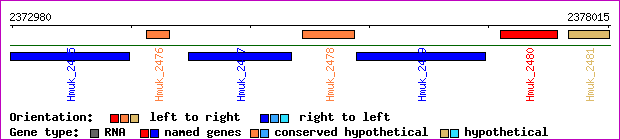 gene map