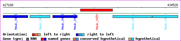 gene map