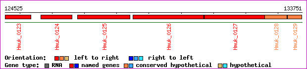 gene map