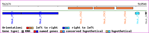 gene map