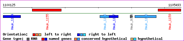 gene map