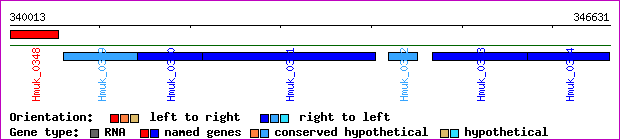 gene map