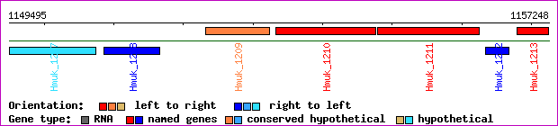 gene map