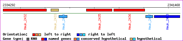gene map