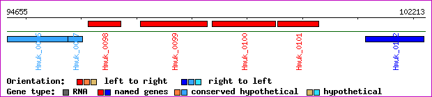 gene map