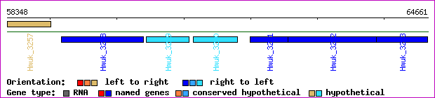 gene map