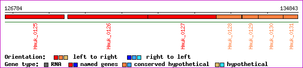 gene map