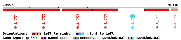 gene map