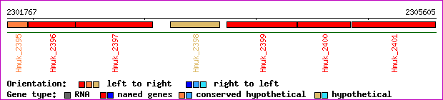 gene map