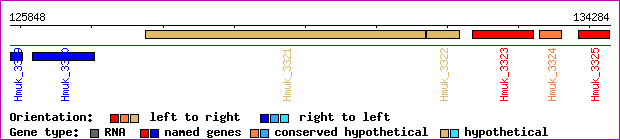 gene map