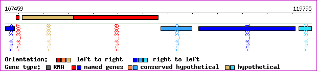 gene map