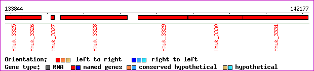 gene map